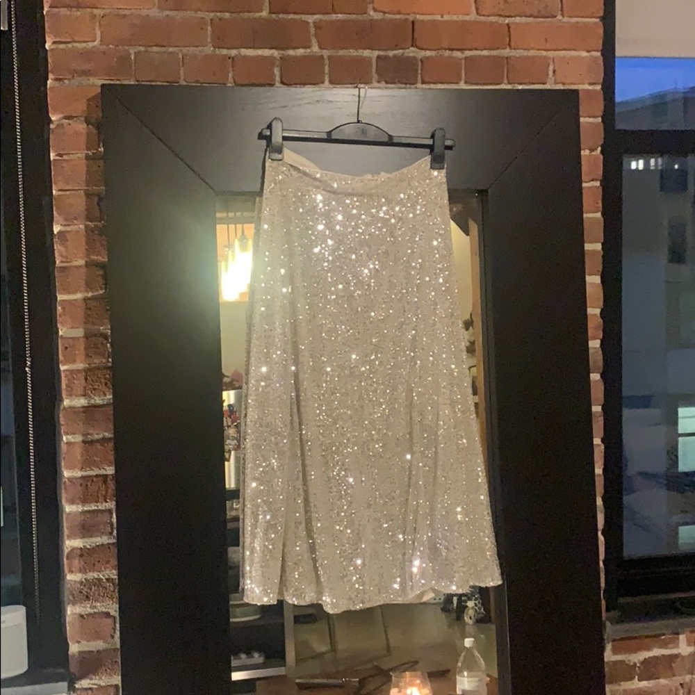 Sequin Skirt